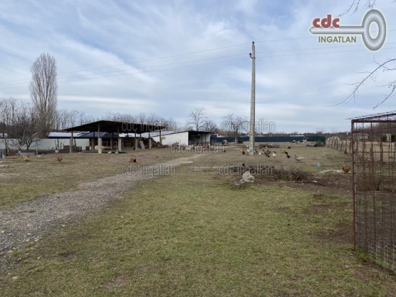 Eladó lakóövezeti telek Dabas