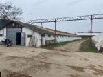 Eladó tanya Bugac