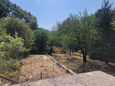 Eladó lakóövezeti telek Dunabogdány