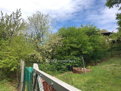 Eladó lakóövezeti telek Dunabogdány