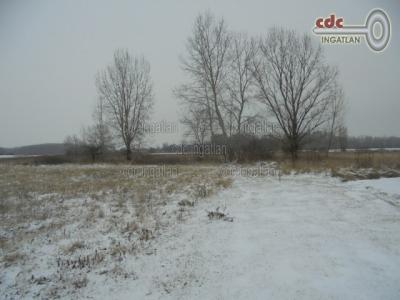 Eladó lakóövezeti telek Dabas