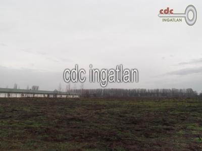 Eladó külterületi telek Újhartyán