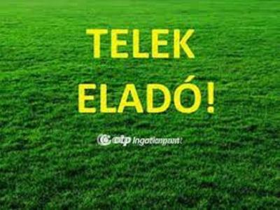 Eladó külterületi telek Hosszúpályi