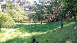 Eladó lakóövezeti telek Velence