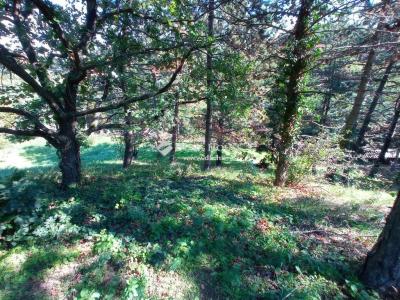 Eladó lakóövezeti telek Velence