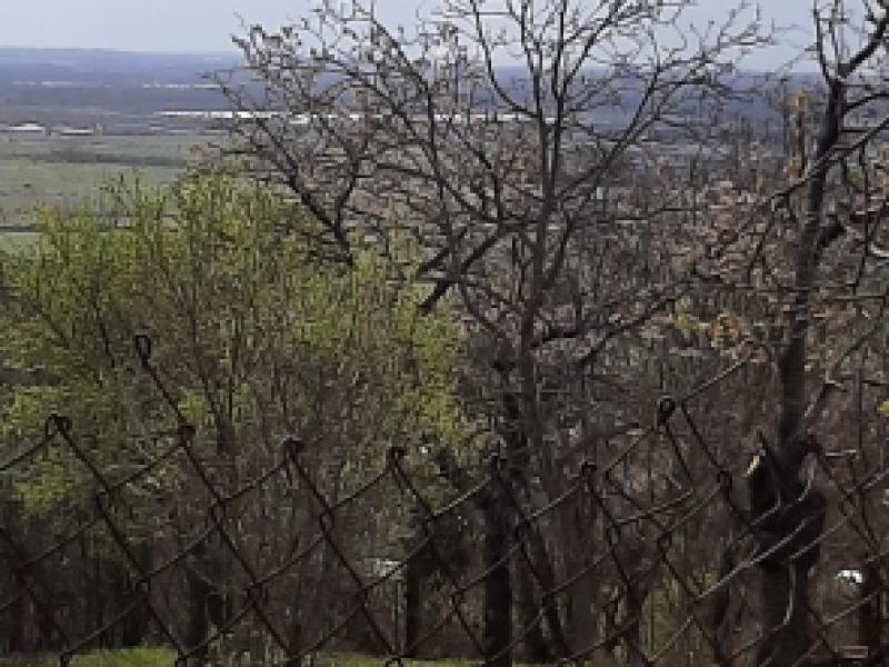 Eladó lakóövezeti telek Pomáz
