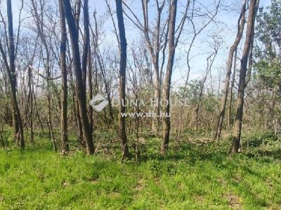 Eladó külterületi telek Hollád