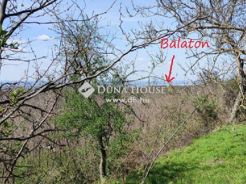 Eladó külterületi telek Hollád
