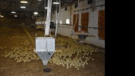 Eladó általános mezőgazdasági ingatlan Mezőhegyes