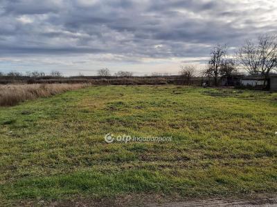 Eladó lakóövezeti telek Doboz