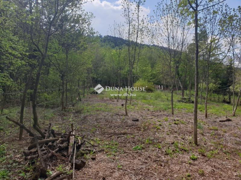 Eladó nyaraló Budapest