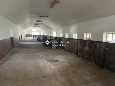 Eladó tanya Lajosmizse