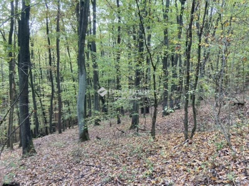 Eladó egyéb telek Kismaros