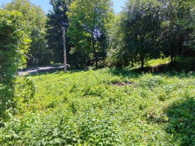 Eladó lakóövezeti telek Lispeszentadorján