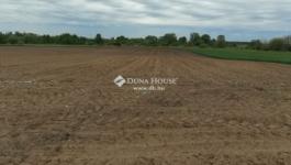 Eladó külterületi telek Alap