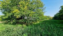 Eladó lakóövezeti telek Alap