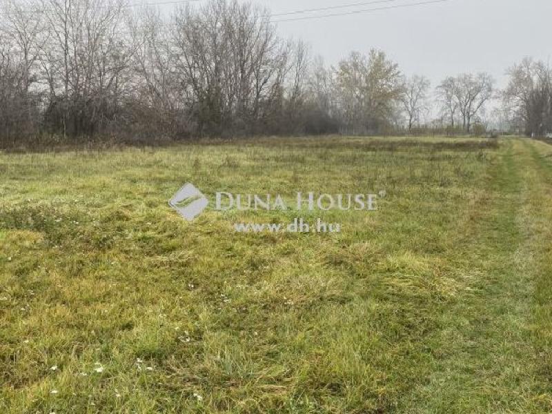 Eladó külterületi telek Ráckeve