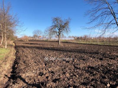 Eladó lakóövezeti telek Orosháza