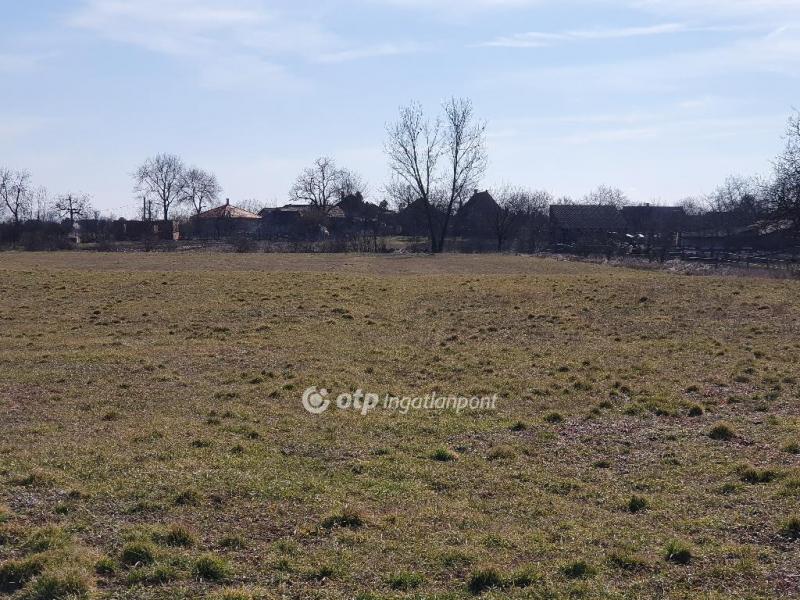 Eladó lakóövezeti telek Nyékládháza