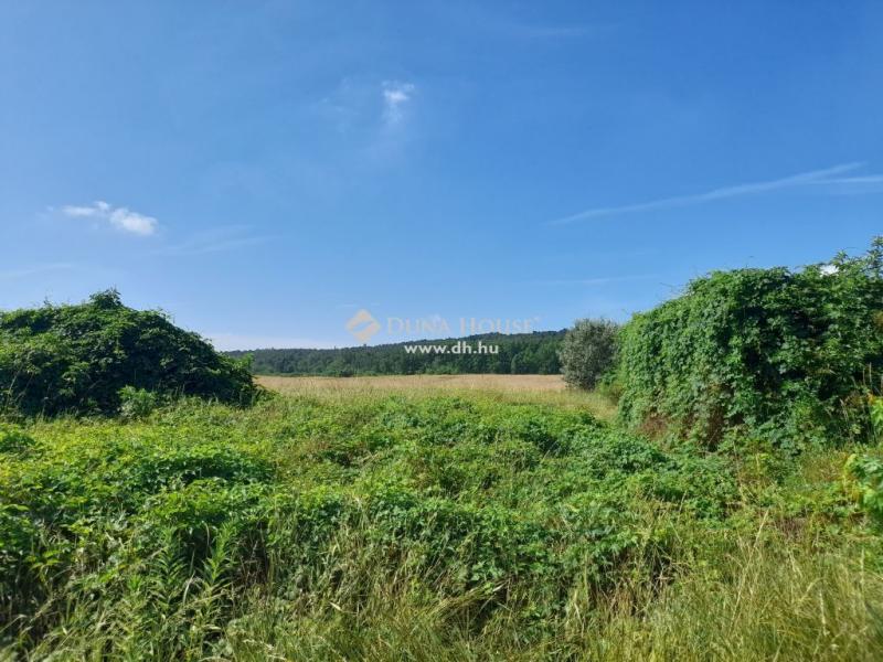 Eladó lakóövezeti telek Isaszeg