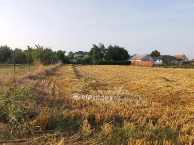 Eladó lakóövezeti telek Debrecen