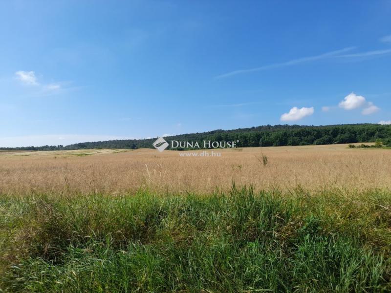 Eladó lakóövezeti telek Isaszeg