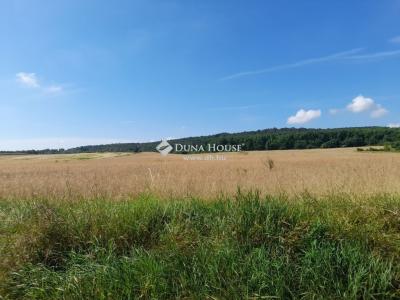 Eladó lakóövezeti telek Isaszeg