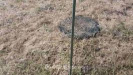 Eladó lakóövezeti telek Debrecen