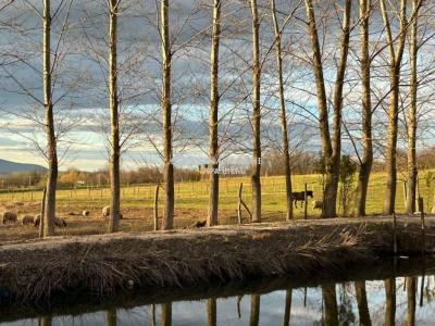 Eladó külterületi telek Őrbottyán