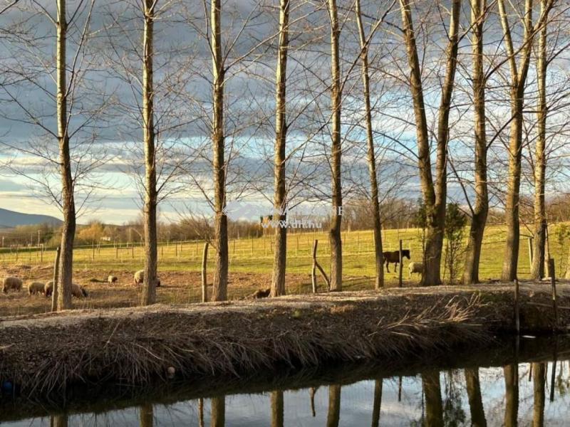 Eladó külterületi telek Őrbottyán