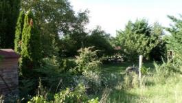 Eladó külterületi telek Kecskemét