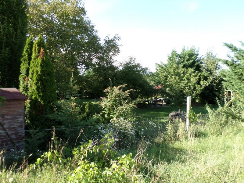 Eladó külterületi telek Kecskemét