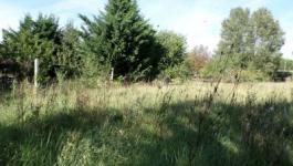 Eladó külterületi telek Kecskemét