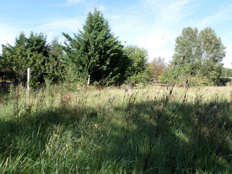 Eladó külterületi telek Kecskemét