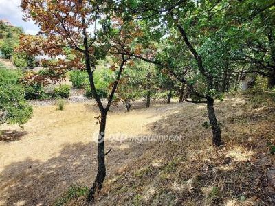 Eladó családi ház Velence