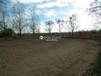 Eladó tanya Nagytarcsa