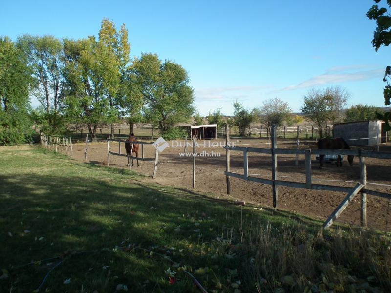 Eladó tanya Nagytarcsa