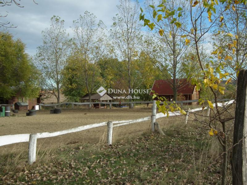 Eladó tanya Nagytarcsa