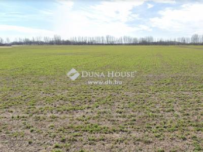 Eladó külterületi telek Monor