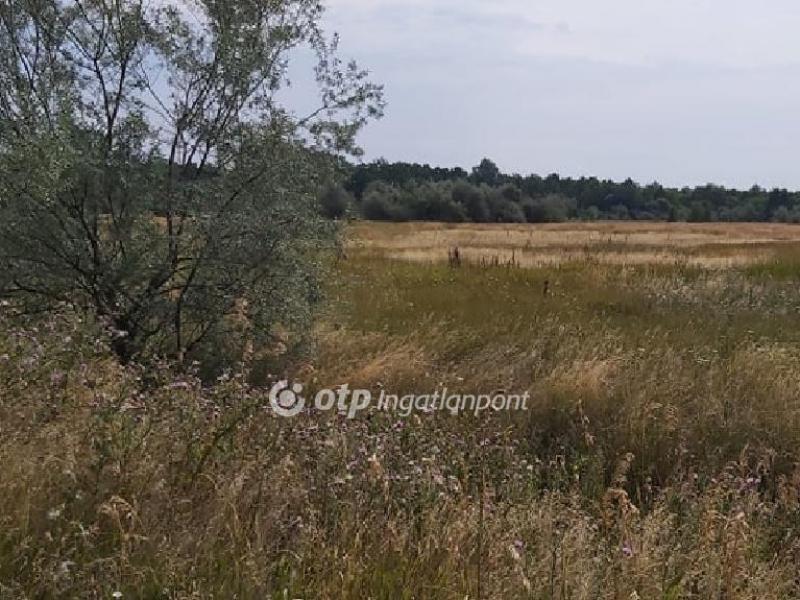 Eladó általános mezőgazdasági ingatlan Újlőrincfalva