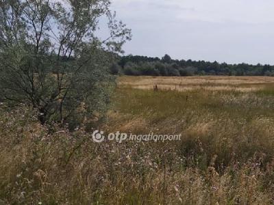 Eladó általános mezőgazdasági ingatlan Újlőrincfalva