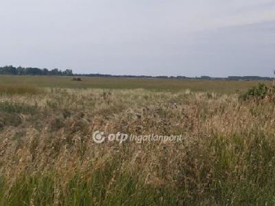 Eladó általános mezőgazdasági ingatlan Újlőrincfalva