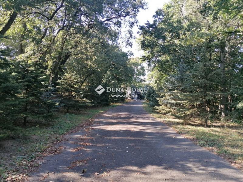 Eladó külterületi telek Mogyoród