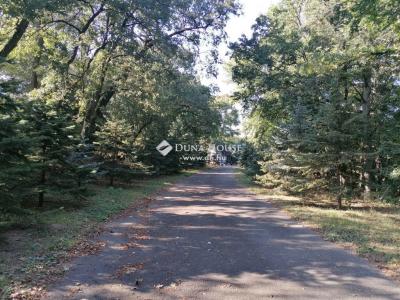 Eladó külterületi telek Mogyoród