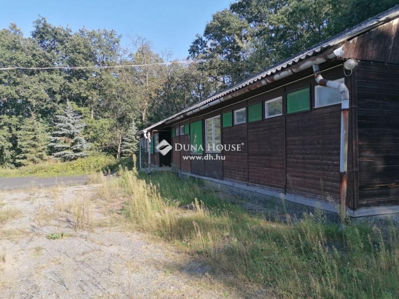 Eladó külterületi telek Mogyoród