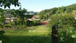 Eladó lakóövezeti telek Szekszárd