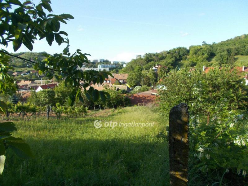 Eladó lakóövezeti telek Szekszárd