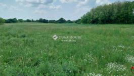 Eladó külterületi telek Monor