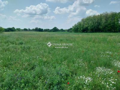 Eladó külterületi telek Monor