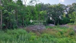 Eladó külterületi telek Monor Monorierdő